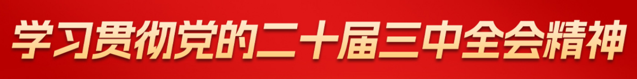 学习贯彻党的二十届三中全会精